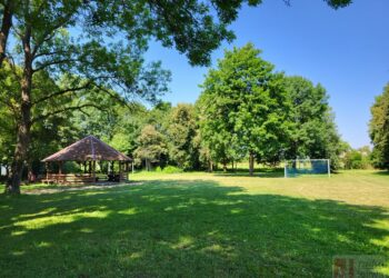 Koprzywnica. Zabytkowy park w Błoniu przejdzie przemianę