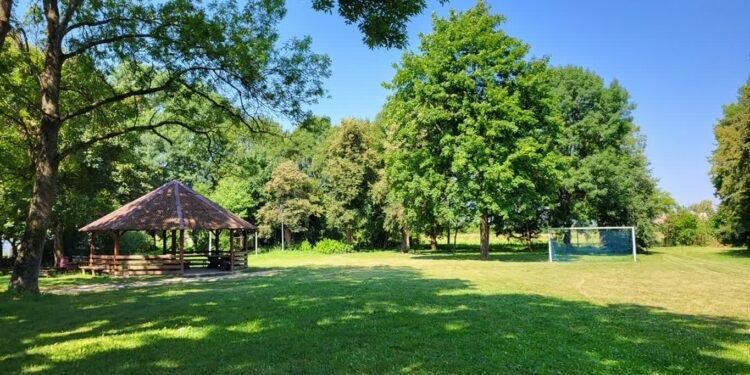 Koprzywnica. Zabytkowy park w Błoniu przejdzie przemianę