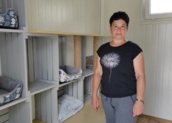 Mielec: Prace modernizacyjne w schronisku…