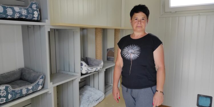 Mielec: Prace modernizacyjne w schronisku…