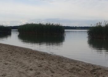 Tarnobrzeg: Szukając ochłody w wodzie Jeziora Tarnobrzeskiego myśl o bezpieczeństwie!