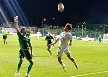 Stalowa Wola: Lepsza Stal Stalowa Wola przegrała mecz