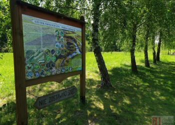 Audycja „Puszcza(my) –  melodie lasów i rzek” – odcinek III