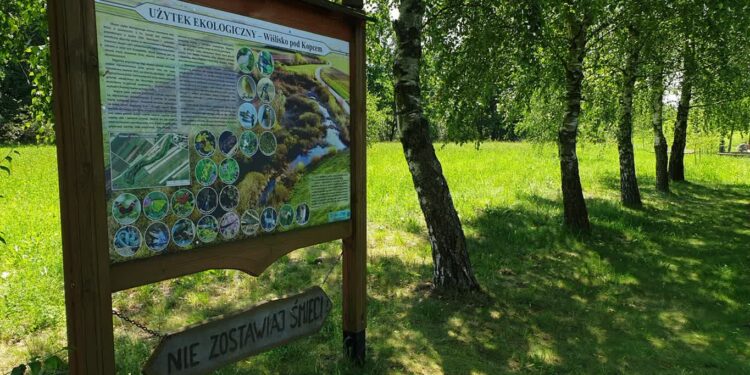Audycja „Puszcza(my) –  melodie lasów i rzek” – odcinek III