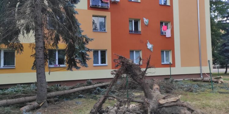 Mielec:  Trwa szacowanie strat po nawałnicy…