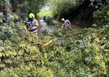 Świętokrzyskie: Trwa szacowanie strat po burzach.