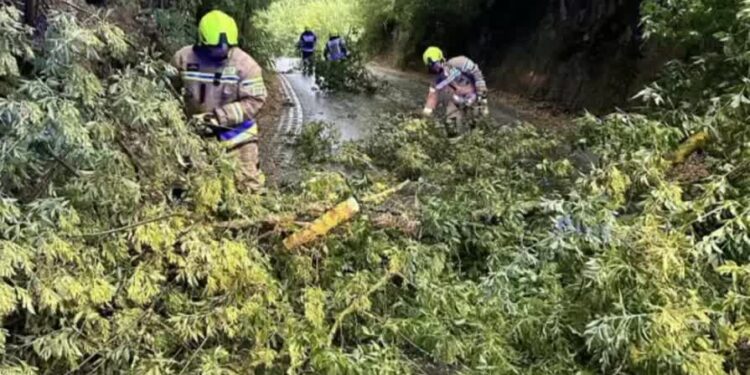 Świętokrzyskie: Trwa szacowanie strat po burzach.