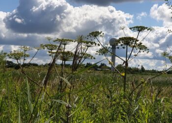 Tarnobrzeg: „Zemsta Stalina” na Zwałce
