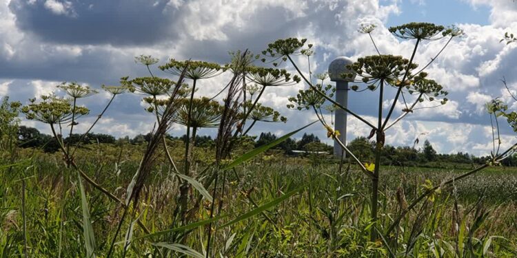 Tarnobrzeg: „Zemsta Stalina” na Zwałce