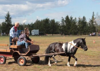 Gorzyce. Zlot Furmanek w Furmanach