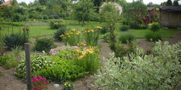 Sandomierz: Sandomierscy działkowcy marzą o komunikacji, parkingach i wodzie.