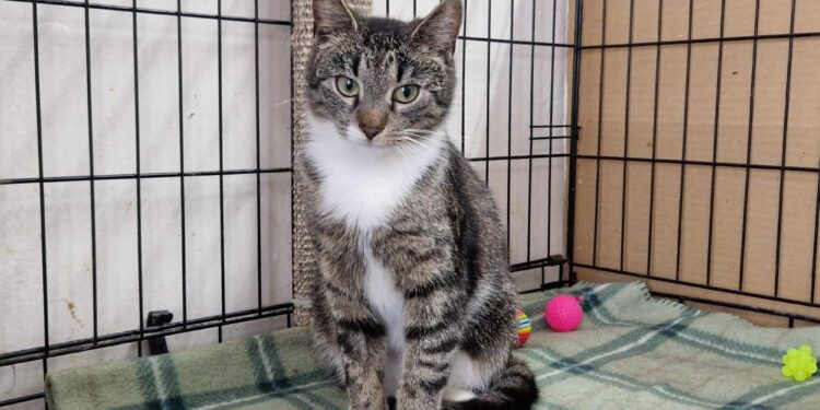 Mielec: Nie zabierajmy maluszków….