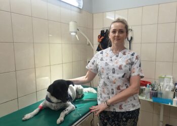 Tarnobrzeg: Dzień Psa