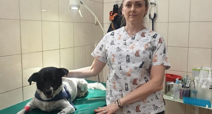 1 lipca – Dzień Psa