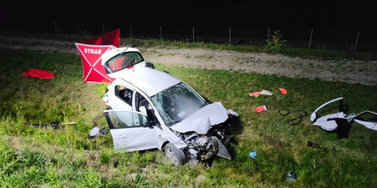 Nisko: Tragiczny wypadek na S19