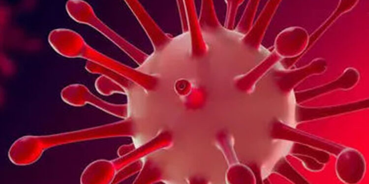 Region, Stalowa Wola: Koronawirus znów daje znać o sobie