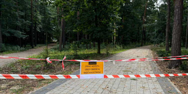 Mielec:  Trwają prace przy usuwaniu skutków wichury