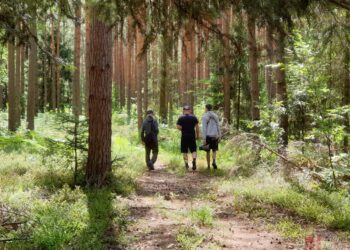 Być może nigdy nie byłeś w tym miejscu, a to perła Puszczy Sandomierskiej. Tak niedaleko… (ZDJĘCIA)