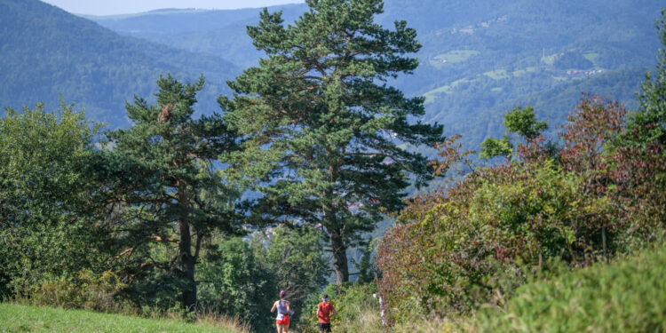 Piwniczna: We wrześniu 15. Festiwal Biegowy