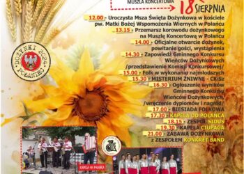 Połaniec: Dożynki Gminne