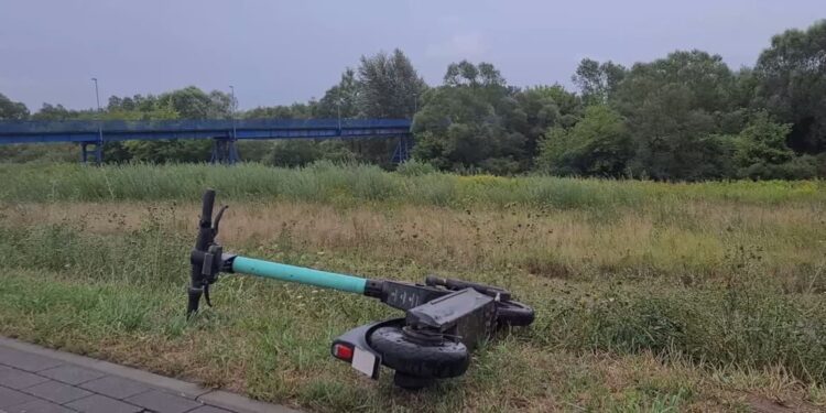 Mielec: Pilnują, reagują, pouczają…