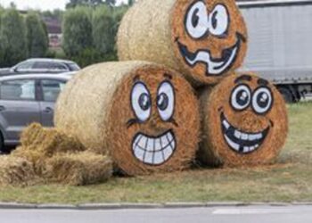 Połaniec: Zatrzymano podejrzanych o podpalenie dożynkowych witaczy