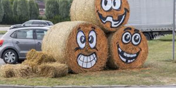 Połaniec: Zatrzymano podejrzanych o podpalenie dożynkowych witaczy