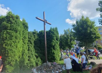 Sandomierz: Połowa drogi pokonana.