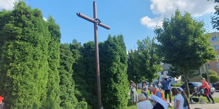 Sandomierz: Połowa drogi pokonana.