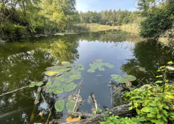 Stalowa Wola: Kacze Doły będą zbierać nadmiar deszczówki z ulic