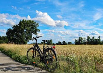 Milelec: Nietrzeżwi i nierozsądni. Bilans weekendu na drogach