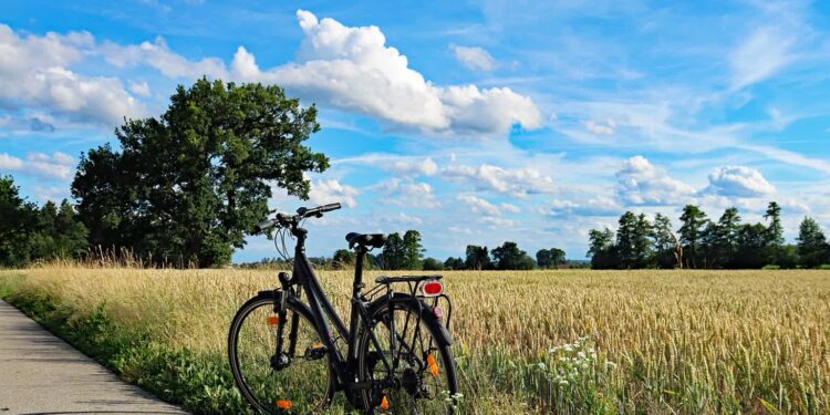 Milelec: Nietrzeżwi i nierozsądni. Bilans weekendu na drogach