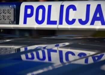 Nisko: Inwestycja w kryptowaluty zakończyła się utratą 100 tys. złotych