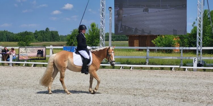 Grębów. Mistrzostwa Podkarpacia w Ujeżdżeniu