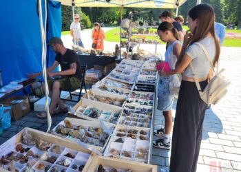 Tarnobrzeg. Giełda minerałów przez zamkiem