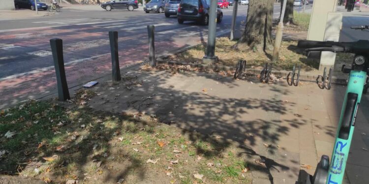 Mielec:  Więcej czystości i porządku