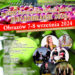Obrazów: Dwudniowe Europejskie Święto Jabłka