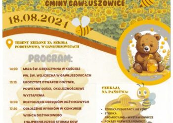Mielec: Dożynki gminne w Gawłuszowicach