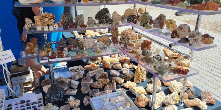 Tarnobrzeg. Giełda minerałów przez zamkiem