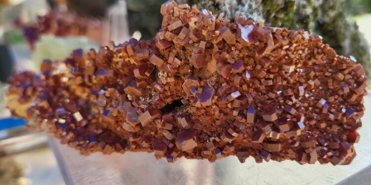 Tarnobrzeg. Giełda minerałów przez zamkiem