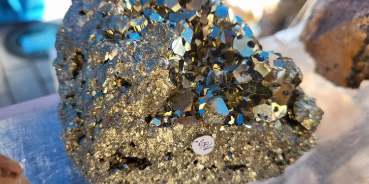 Tarnobrzeg. Giełda minerałów przez zamkiem