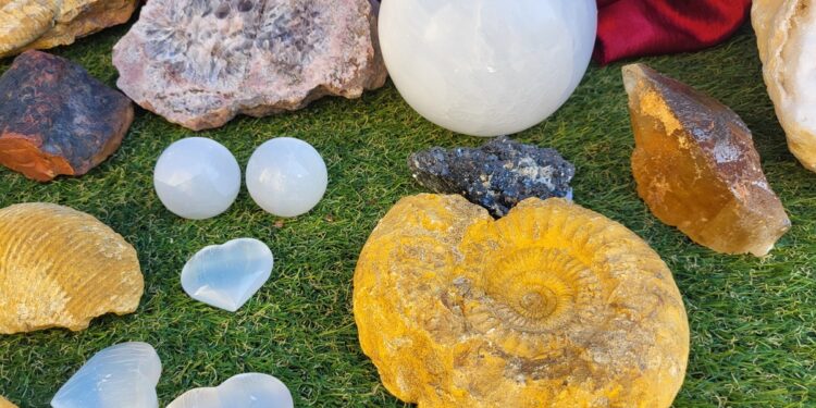 Tarnobrzeg. Giełda minerałów przez zamkiem