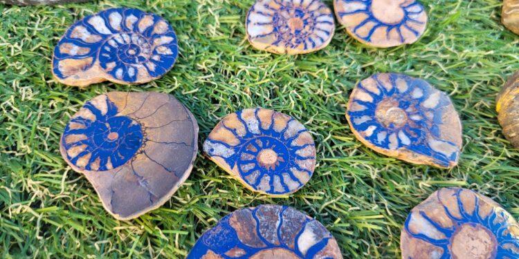 Tarnobrzeg. Giełda minerałów przez zamkiem