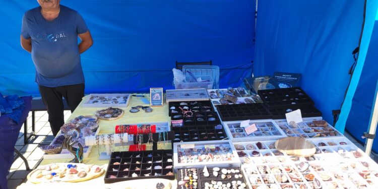 Tarnobrzeg. Giełda minerałów przez zamkiem