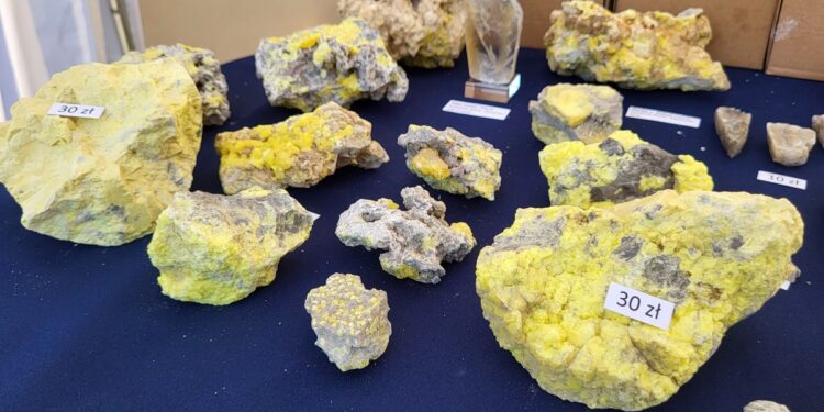 Tarnobrzeg. Giełda minerałów przez zamkiem