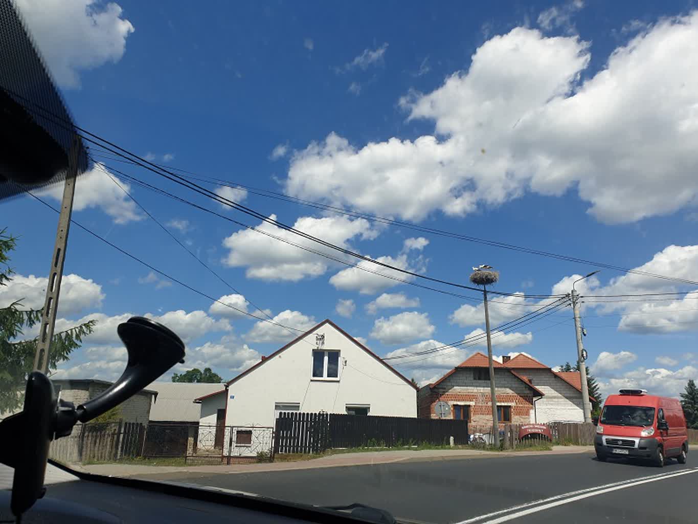 Bocianie gniazdo w miejscowości Buda Stalowska