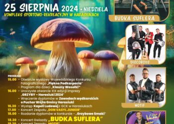 Harasiuki: GRZYBY z Budką Suflera i Discoboys