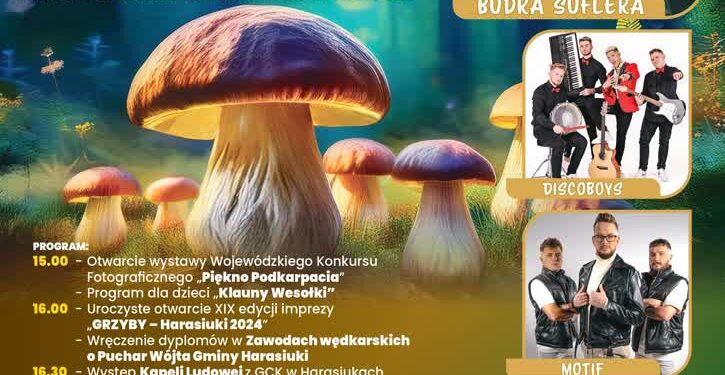 Harasiuki: GRZYBY z Budką Suflera i Discoboys