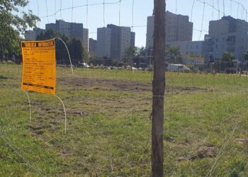 Tarnobrzeg: Ruszy budowa baru znanej sieci. Usunięto kilkanaście drzew