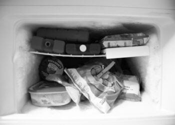 Brzozów: Pies znaleziony w zamrażarce